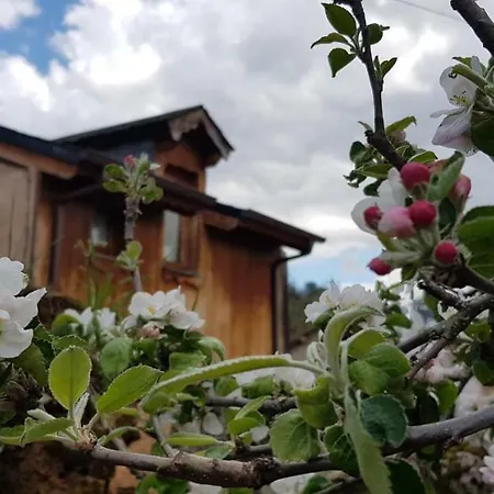 La Jara Blanca *