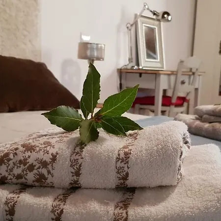 Séjour à la campagne La Jara Blanca